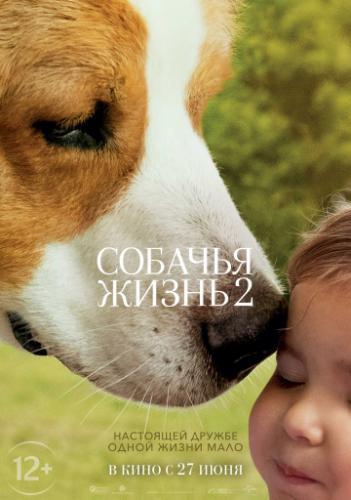 ����� ������� ����� 2 / A Dog's Journey (2019)