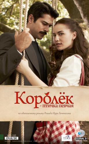 ����� ������ - ������ ������ / Calikusu (2013)