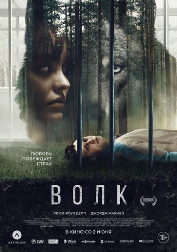 ����� ���� / Wolf (2021)