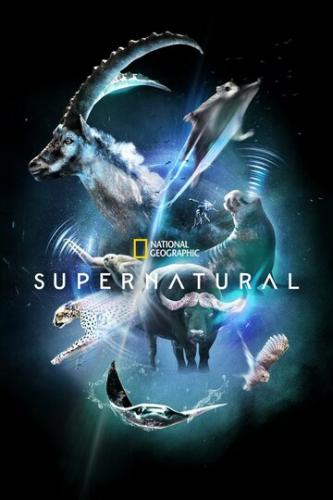 ����� �����/������������ / Super/Natural (2022)