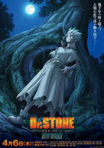 ����� ������ ����� / Dr. Stone (2019)