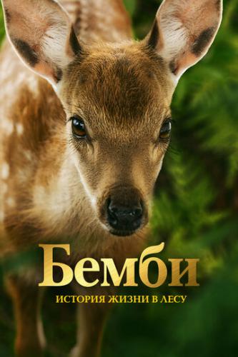 ����� �����. ������� ����� � ���� / Bambi, l'histoire d'une vie dans les bois (2024)